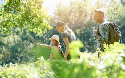 Die schönsten Wald-Erlebnisziele in Österreich