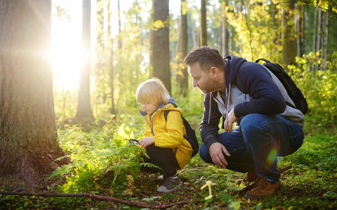 Mit Kindern den Wald erkunden – Elternbereich