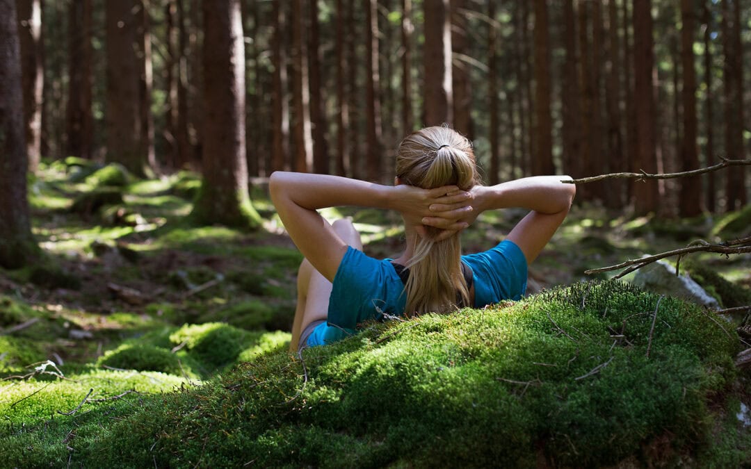 Die Östereicher:innen lieben ihren Wald