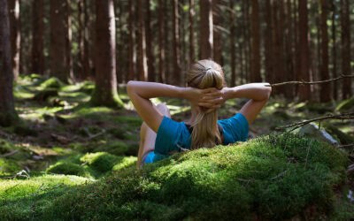 Die Östereicher:innen lieben ihren Wald