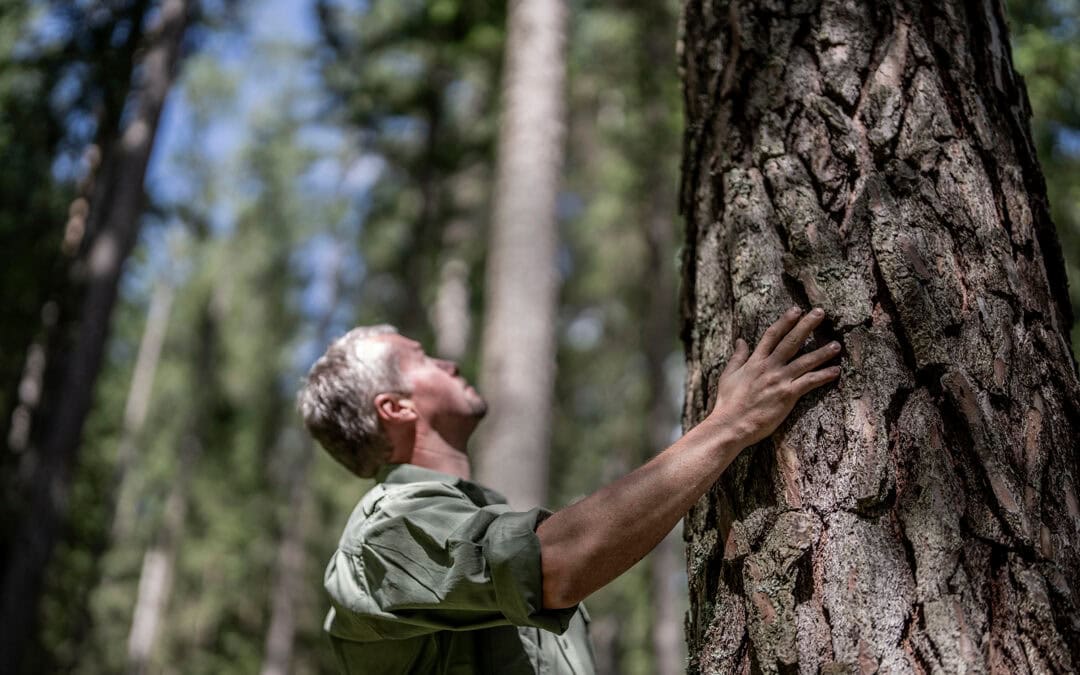 Biodiversität: Vielfalt braucht Bewirtschaftung