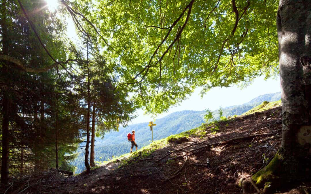 März 2025: Jetzt schon Waldbrandgefahr
