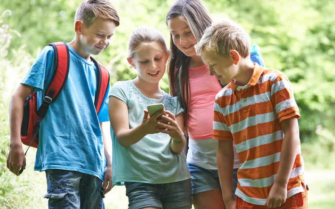 Onlinekurs: Alles Wichtige über den Wald