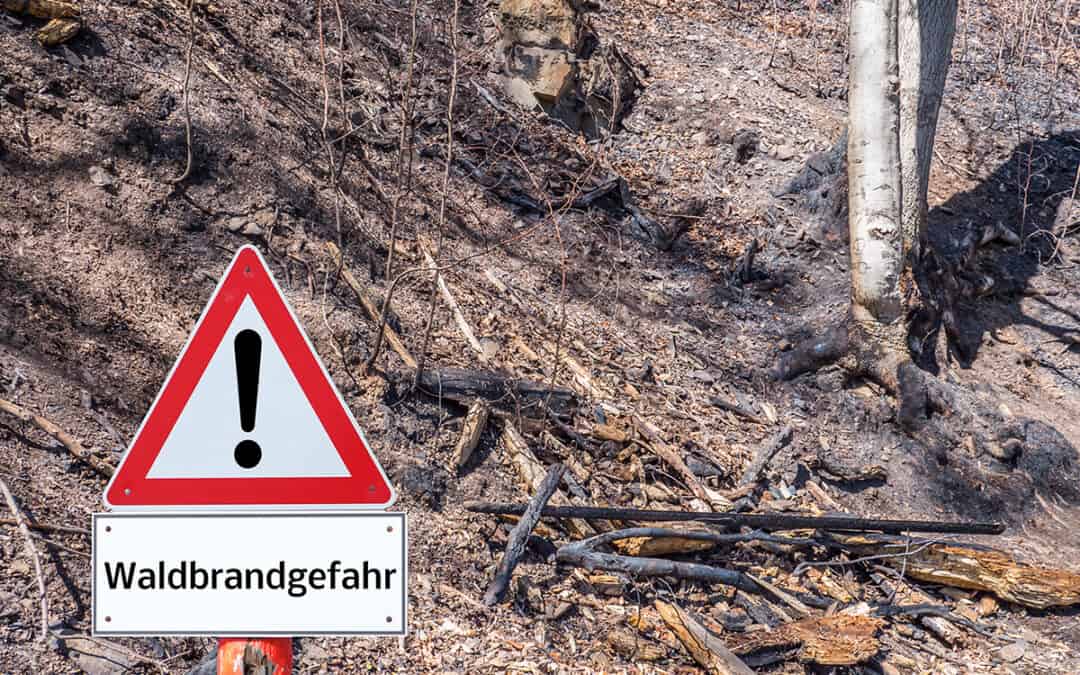 Mit Achtsamkeit gegen Waldbrand: Mit Mut, Kreativität – und Hundesackerln