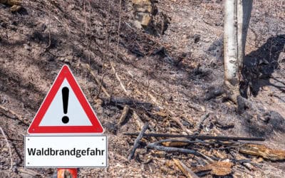 Mit Achtsamkeit gegen Waldbrand: Mit Mut, Kreativität – und Hundesackerln