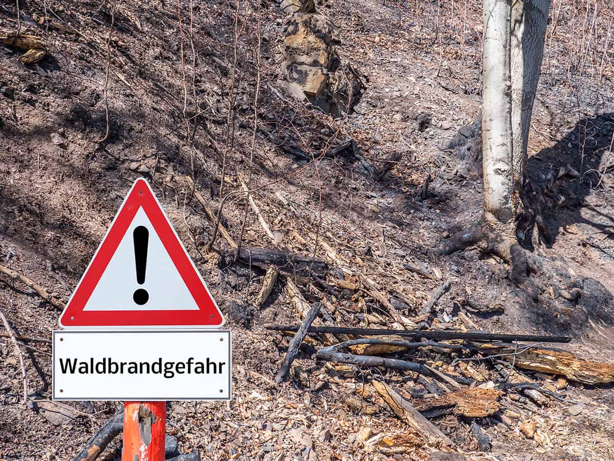 Waldbrandgefahr herrscht schon jetzt im Frühjahr