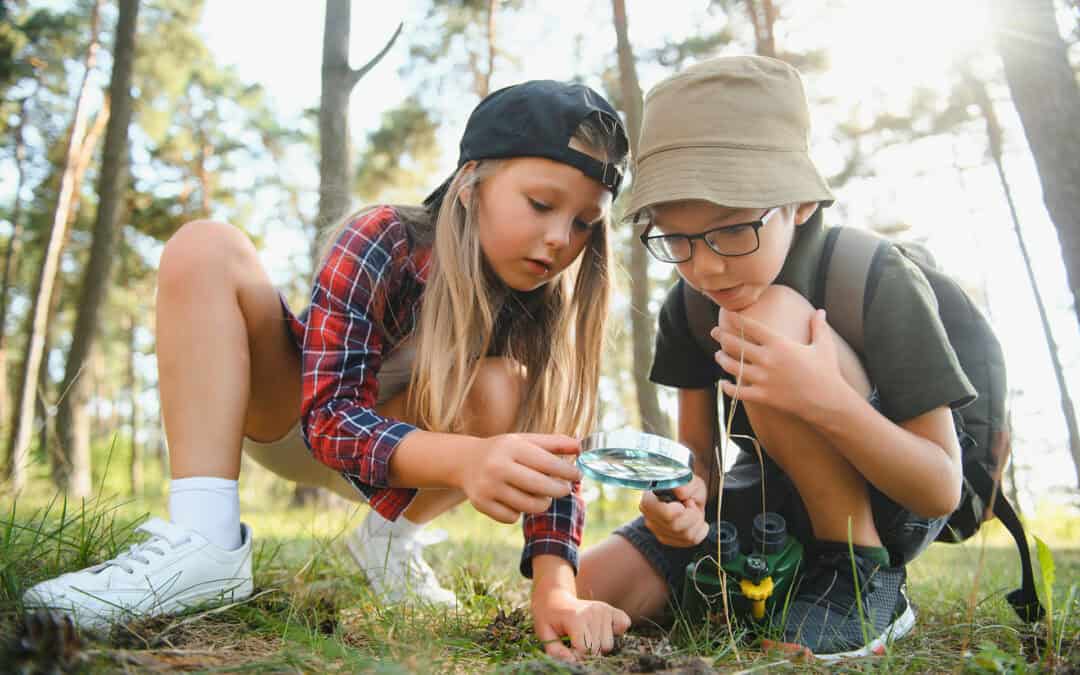 Waldwissen für Kinder – die Online-Plattform zum Staunen, Lernen und Mitmachen