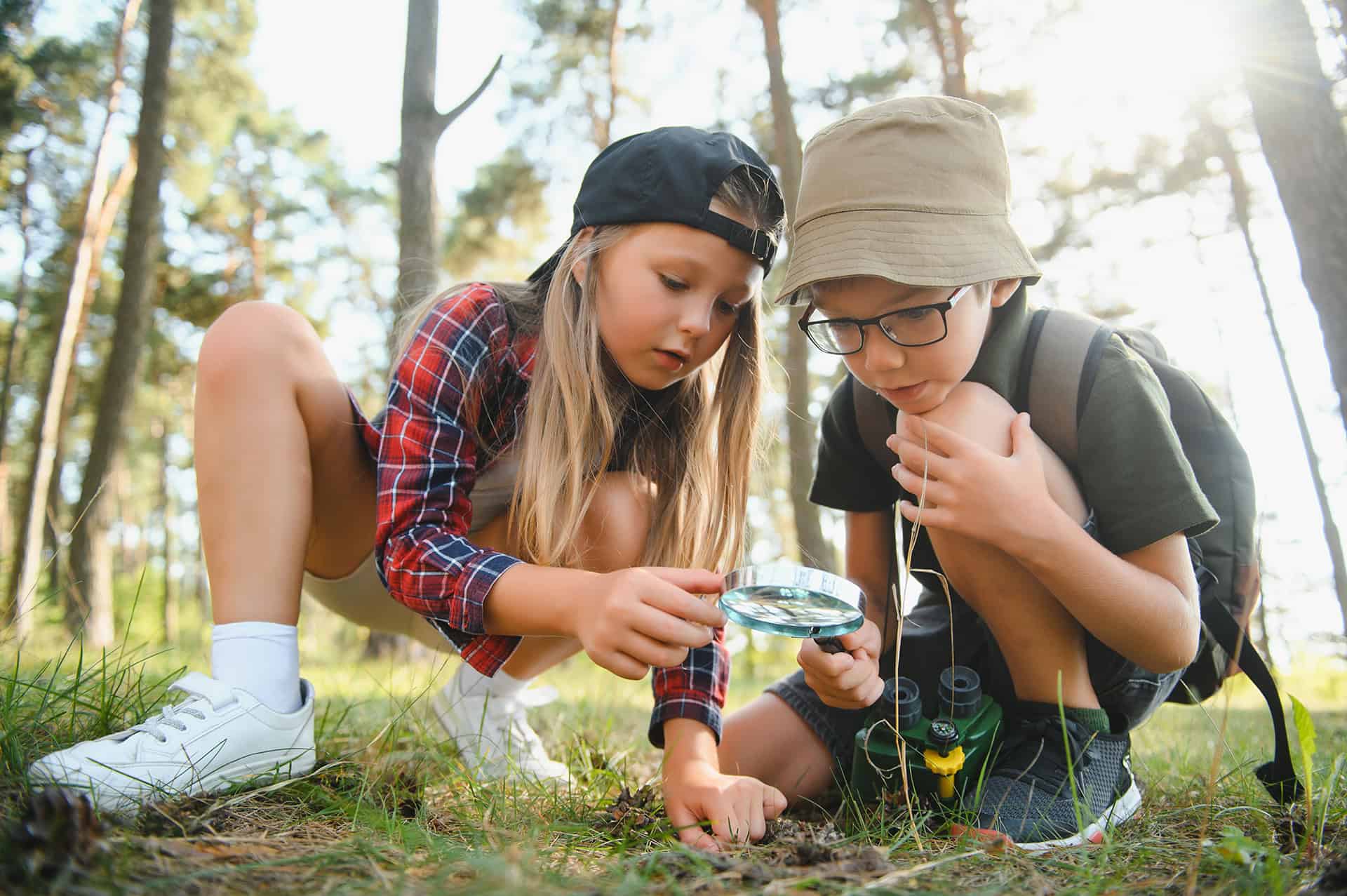 Waldwissen für Kinder auf waldgeschichten.com