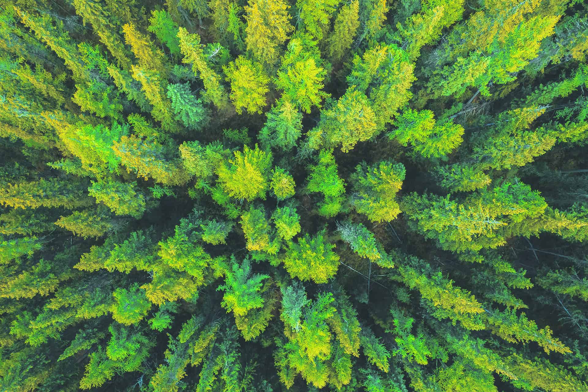 Die Europäische Weltraumorganisation (ESA) hat einen neuen Forschungssatelliten ins All geschickt.