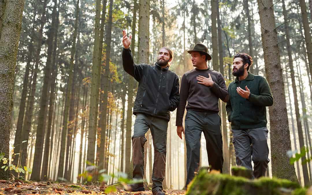 Waldbiodiversität: Mehr als nur ein Schlagwort