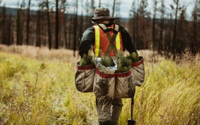 Forsttagung 2025: (K)ein klimafitter Wald ohne Forstwirtschaft?