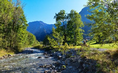 Waldbrand im Quellschutzwald – wenn mehr als Bäume verloren gehen