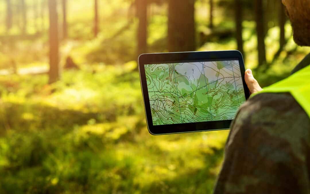 Digitale Werkzeuge für Österreichs Wälder