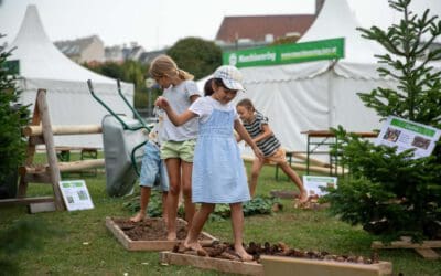 Erntedankfestival 2025 & Rieder Messe – Waldgeschichten live erleben!