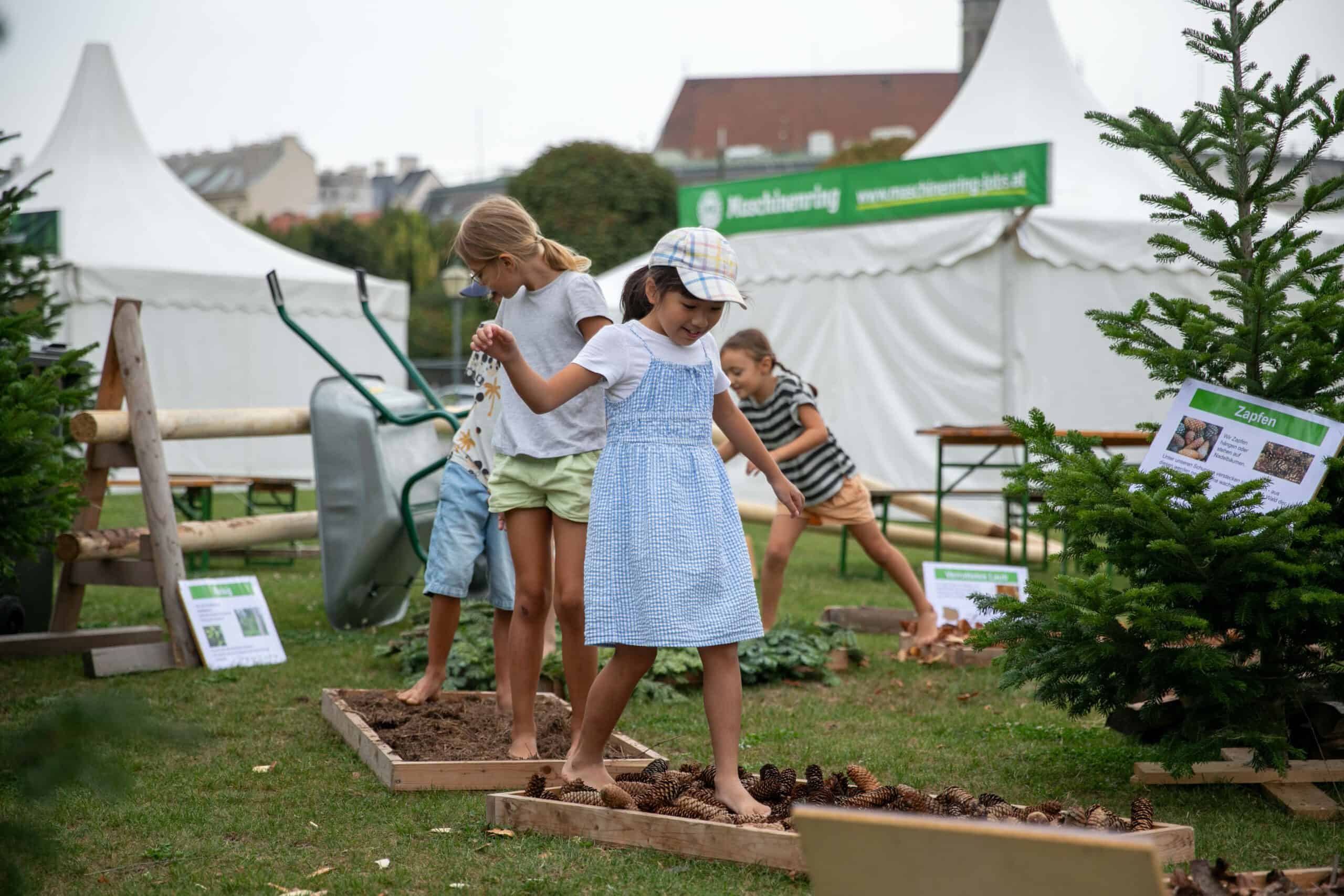 Erntedankfestival Wien und Riedermessen mit Waldgeschichten