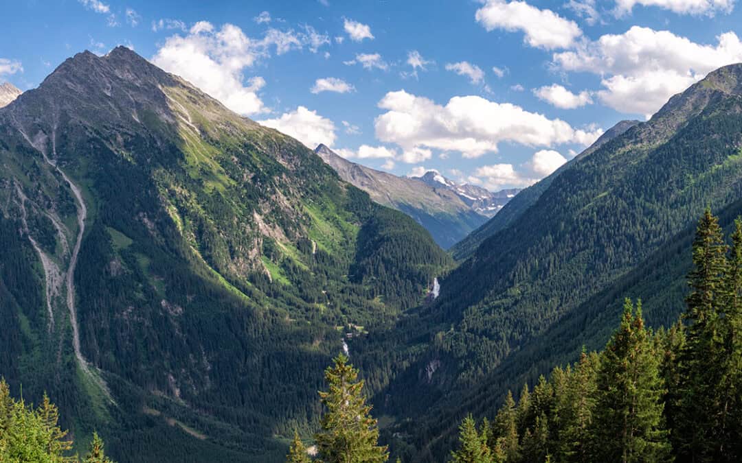 Schutzwald in Österreich