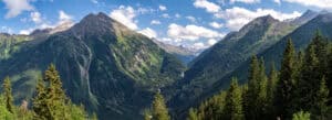 Schutzwald in Österreich