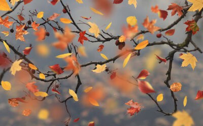 Diese 3 Novembertermine darf man nicht verpassen!