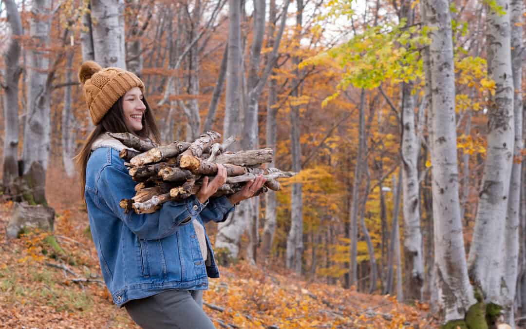Darf man Holz sammeln im Wald?