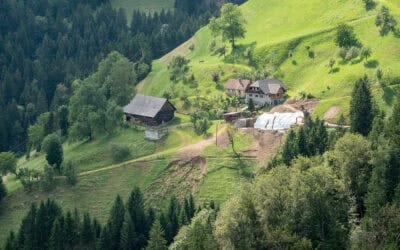 Woche des Schutzwaldes 2025: Warum Österreichs Schutzwälder unverzichtbar sind