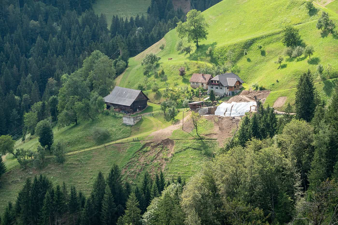 schutzwald-österreich-waldgeschichten Ein Schutzwald schützt Dörfer und Infrastruktur