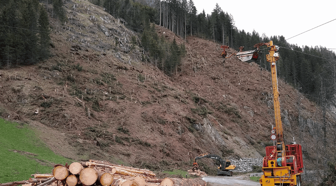 Energiegewinnung im Wald: Stromerzeugung bei der Holzernte