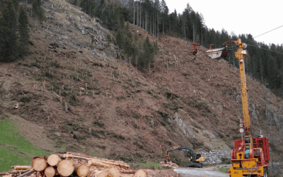 Energiegewinnung im Wald: Stromerzeugung bei der Holzernte