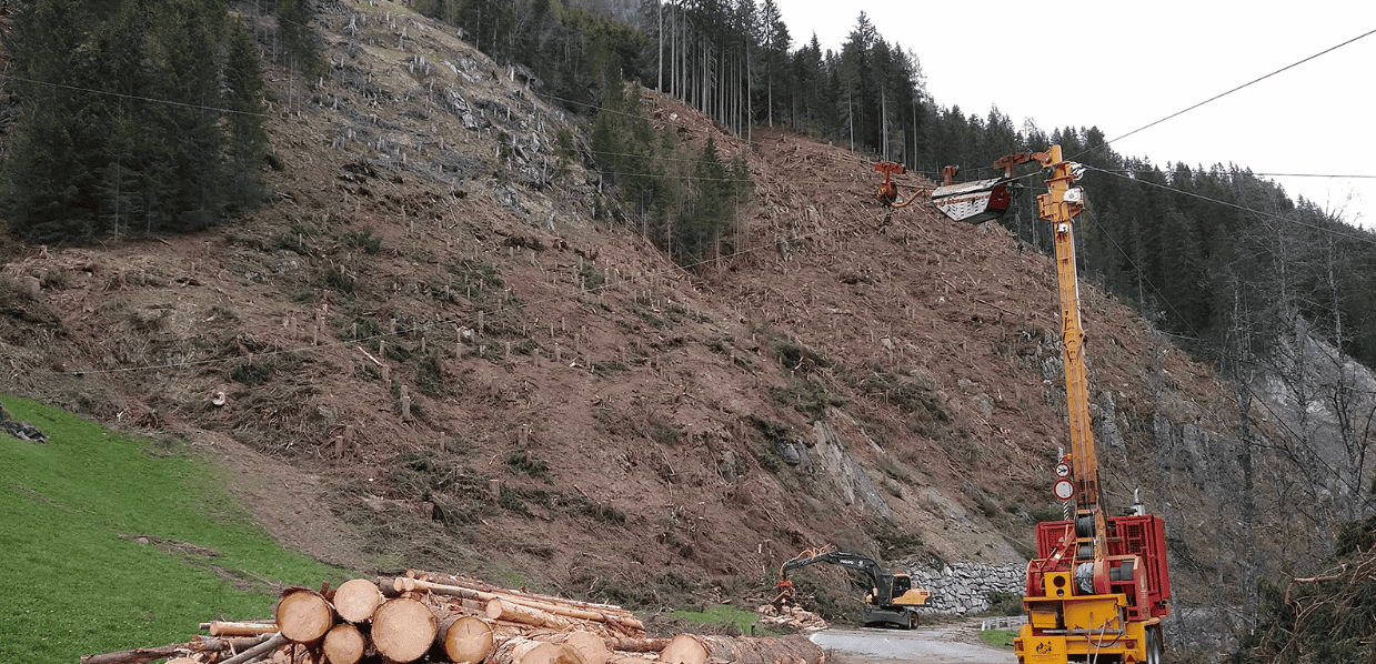 waldgeschichten-holz-seil Nachhaltigkeit in der Forstwirtschaft