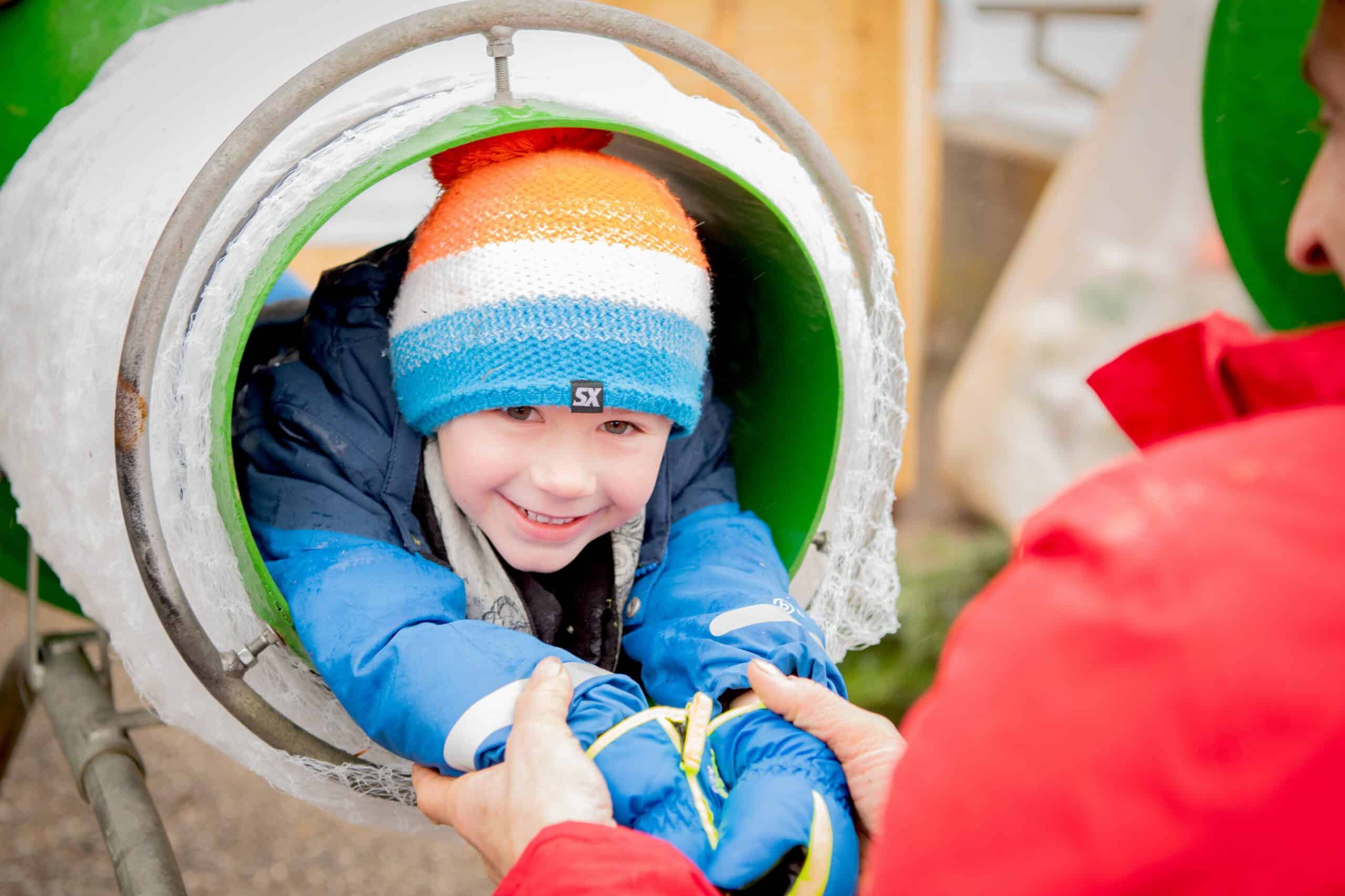 christbäume-österreich-waldgeschichten Christbäume aus Österreich